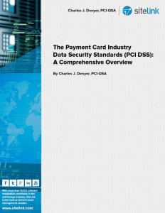 The Payment Card Industry Data Security Standards (PCI DSS): A Comprehensive Overview